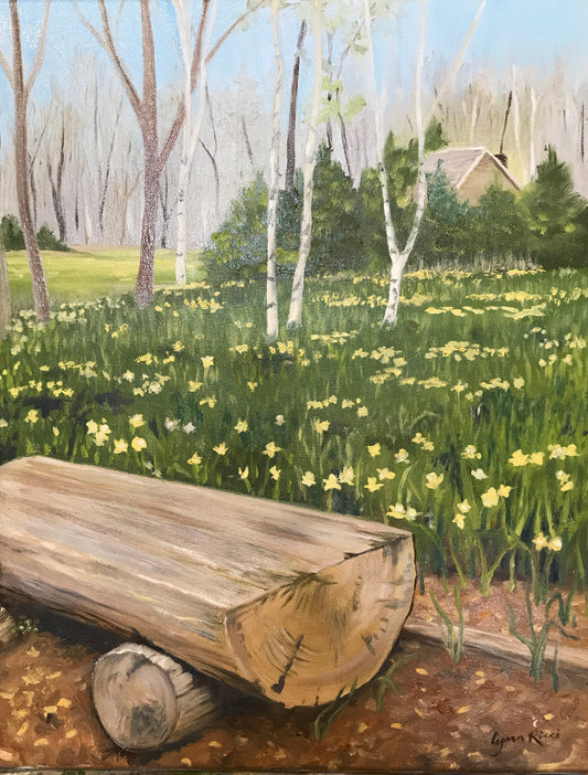 Daffodil Field at Parsons Reserve - Artwork of Lynn Ricci