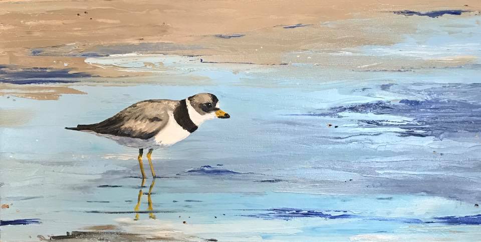 Plover Stalking Mud Flats - Artwork of Lynn Ricci